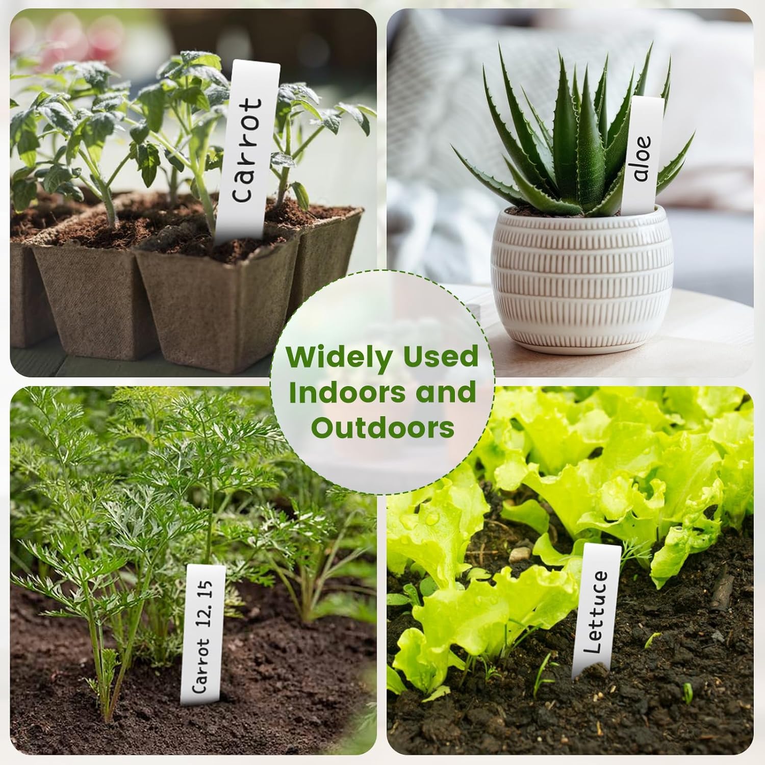 Thumbnail 4 de KINGLAKE étiquette plantes 10x2cm 100 pièces