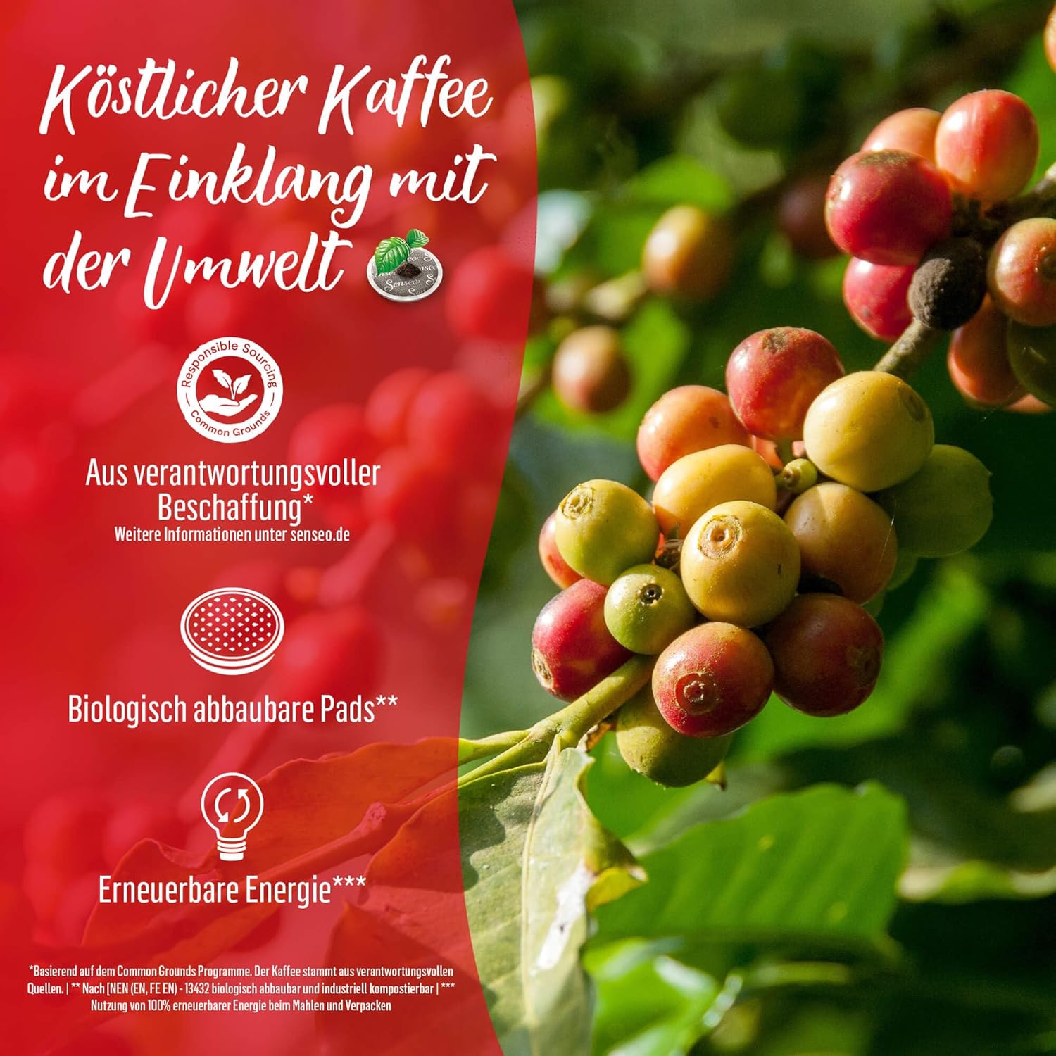 Detalle de Senseo Pads Classic Vorratspackung 5 x 32 Pads – 160 Kaffeepads