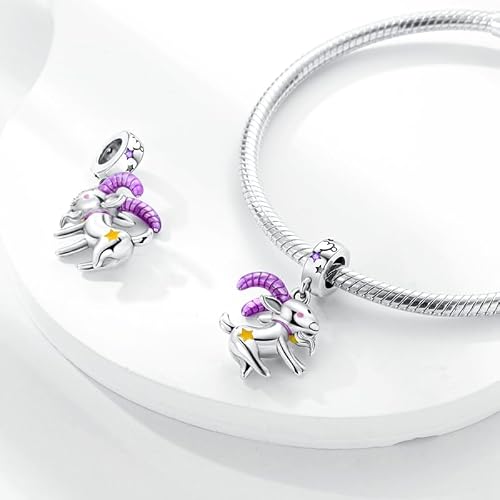 Detalle 2 de Charm-Anhänger Sternzeichen 925 Silber – 12 Motive 💍