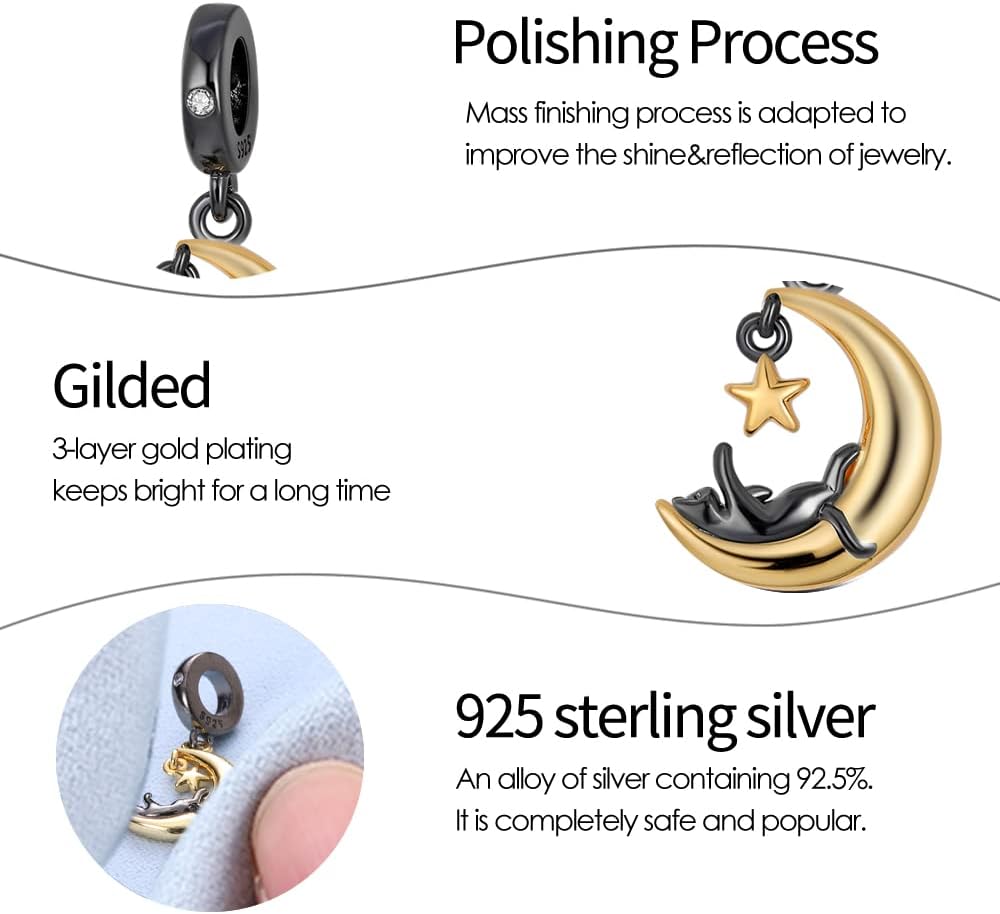 Detalle de Pandach Charm Anhänger 925 Silber C2
