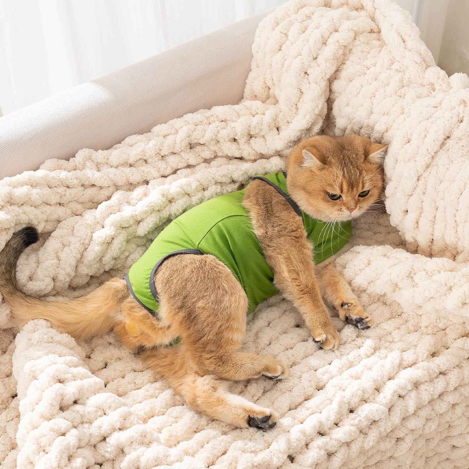 Detalle de Avont Cat Recovery Suit for Surgery (Green, Medium) – Breathable Anti-Licking Onesie for Kittens