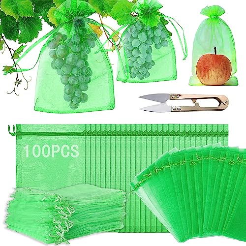 Imagen de Bolsas de Protección para Uvas 20 x 30 cm – 100 unidades de RURIZHONGTIAN en OfertitasTOP