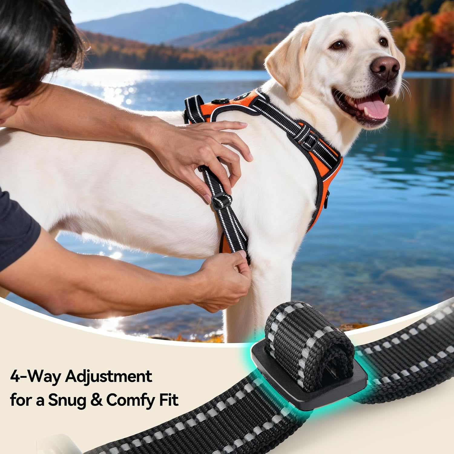 Detalle 2 de PHOEPET Dog Harness, XS