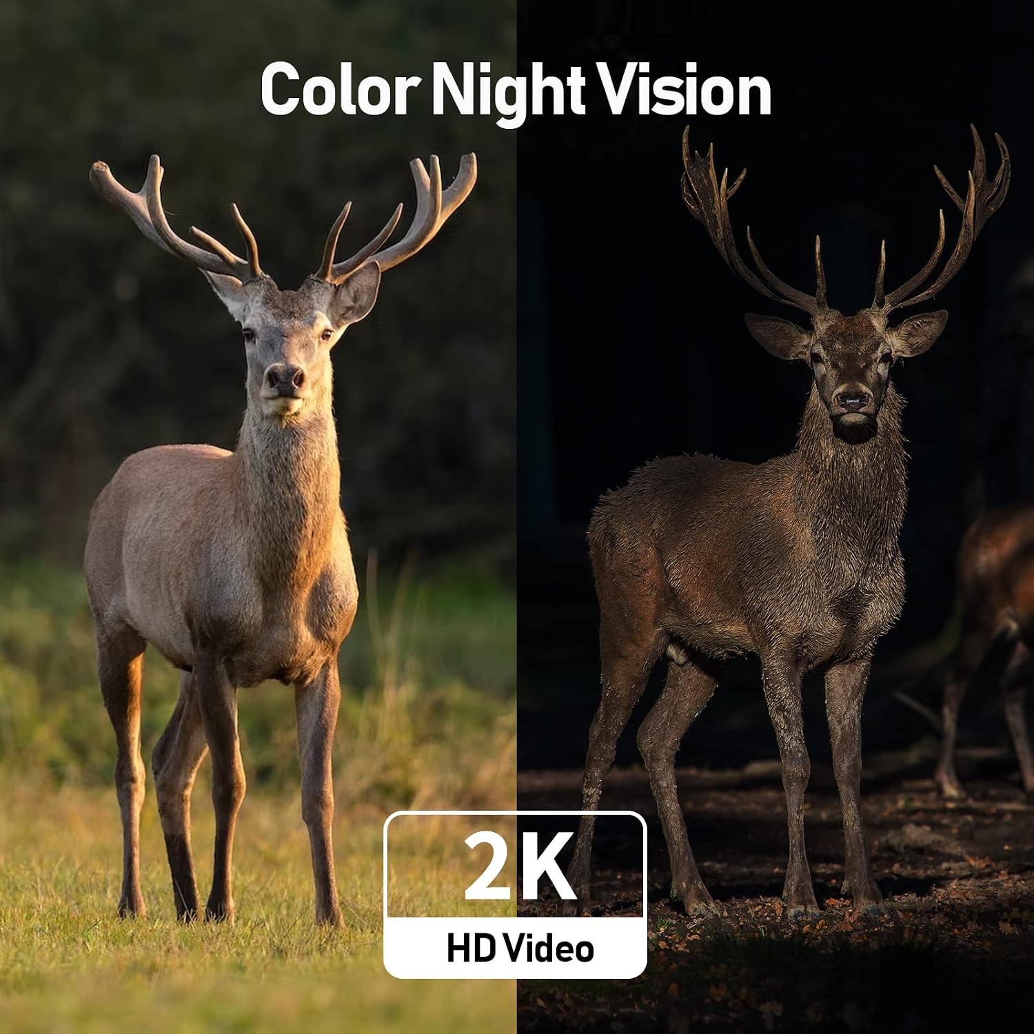 Thumbnail 5 de SEHMUA RBX-S44 4G LTE Solar Security Cameras, 2-Pack, 2K Color Night Vision