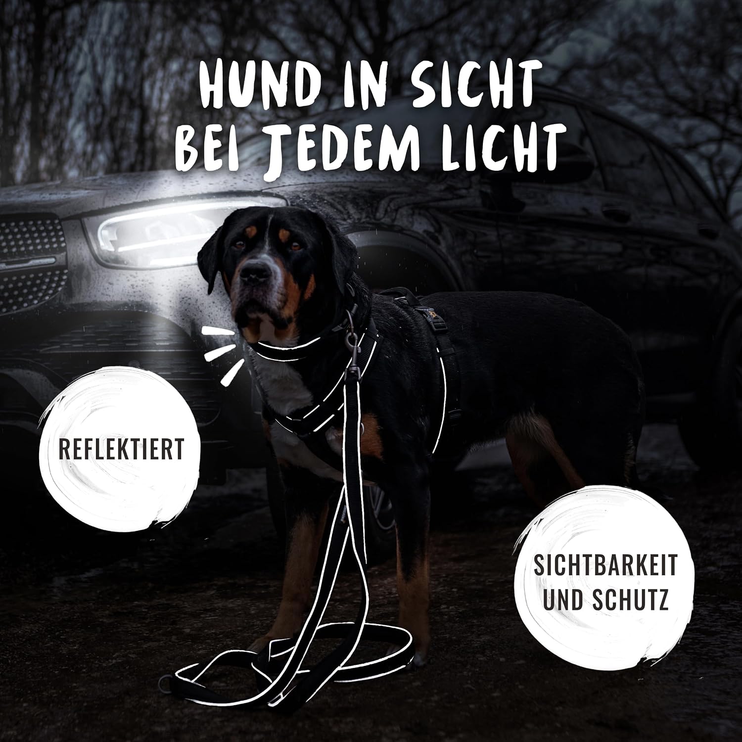 Detalle 2 de Rudelkönig Hundehalsband Paola verstellbar