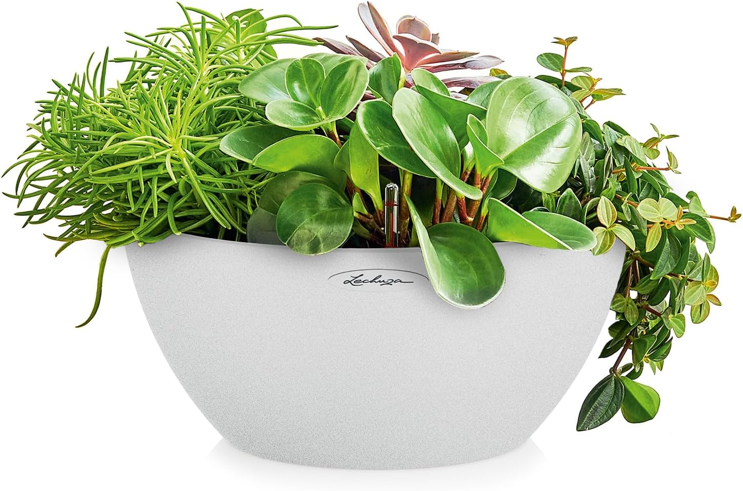 Detalle 2 de LECHUZA CUBETO Stone 30 Quartz Blanc 13837 – Pot avec système d’arrosage intégré