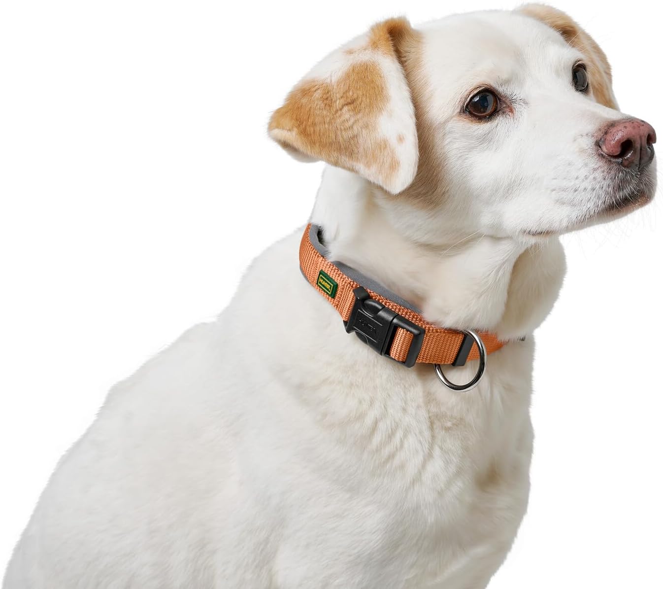 Detalle de Hunter Hundehalsung NEOPREN Vario Plus – Größe M/2,0 cm, Kupfer/Grau