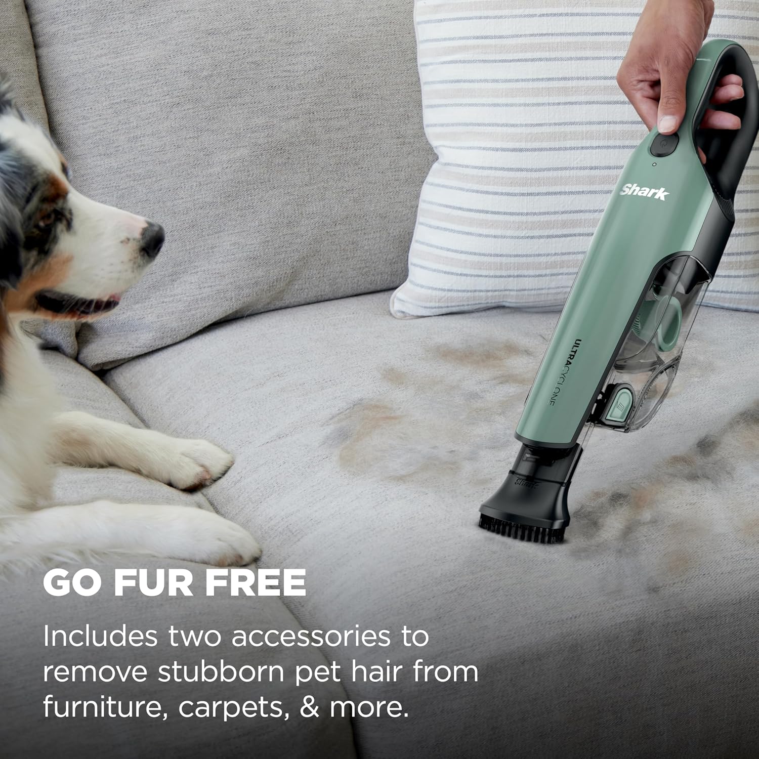 Detalle de Shark Cordless Handheld Vacuum CH901