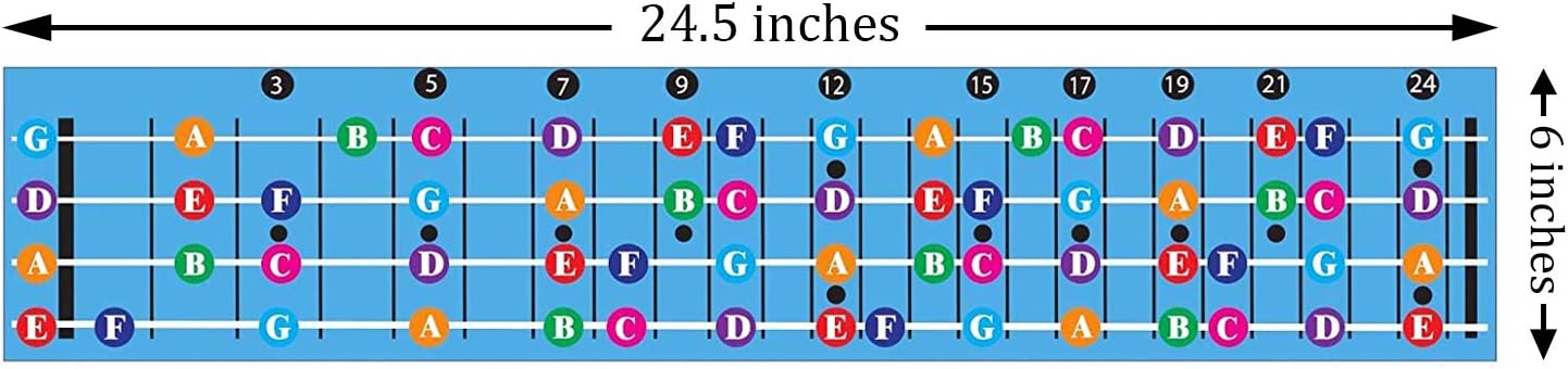 Detalle 2 de QMG Bass Guitar Fretboard Note Chart