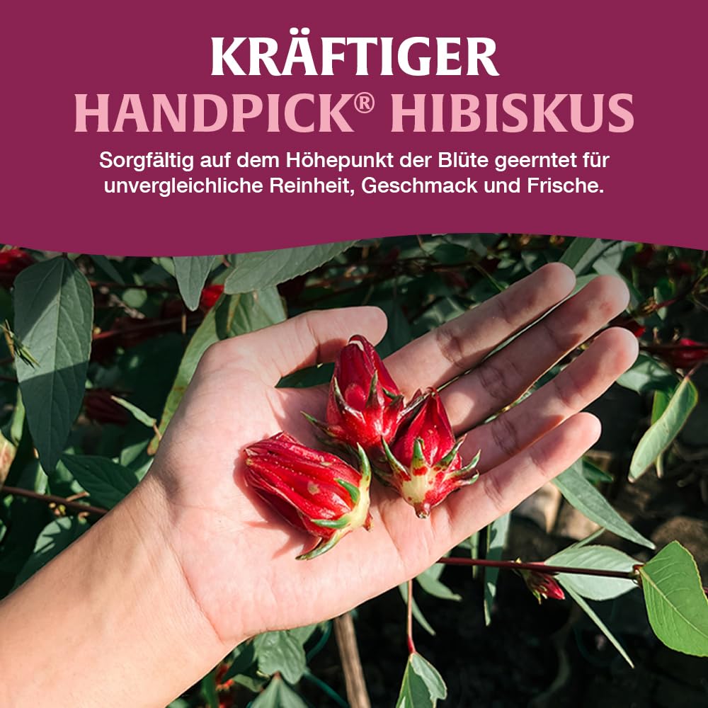 Thumbnail 3 de HANDPICK Hibiskustee – 100 Hibiskusblütentee Beutel, koffeinfrei, aus 100% Hibiskusblüten
