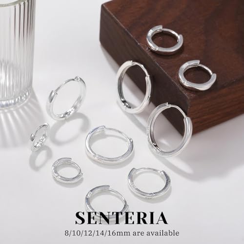Thumbnail 4 de Senteria 5 Pairs Silver Hoop Earrings for Women – Hypoallergenic Small Huggie Set