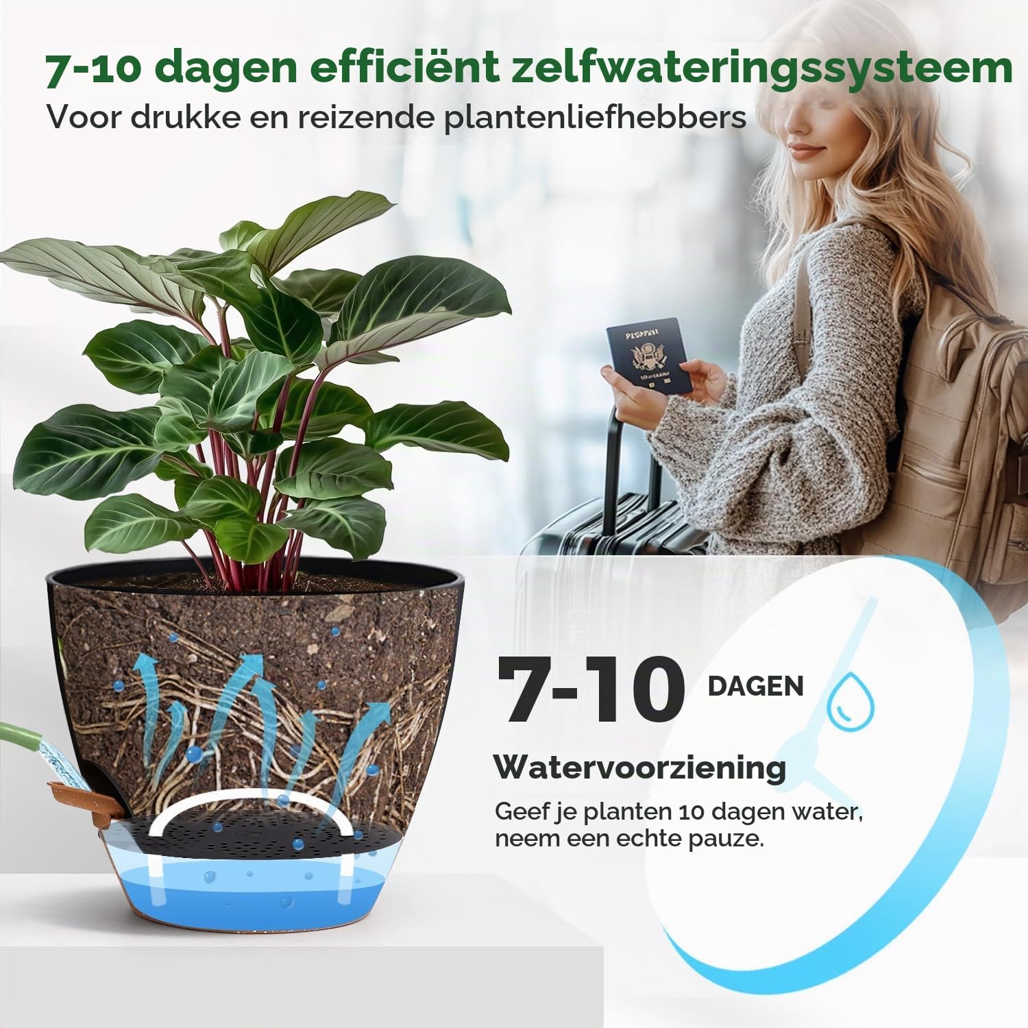 Thumbnail 4 de T4U PG3084 zelfbewaterende bloempotten, 20 cm, zwart, set van 2