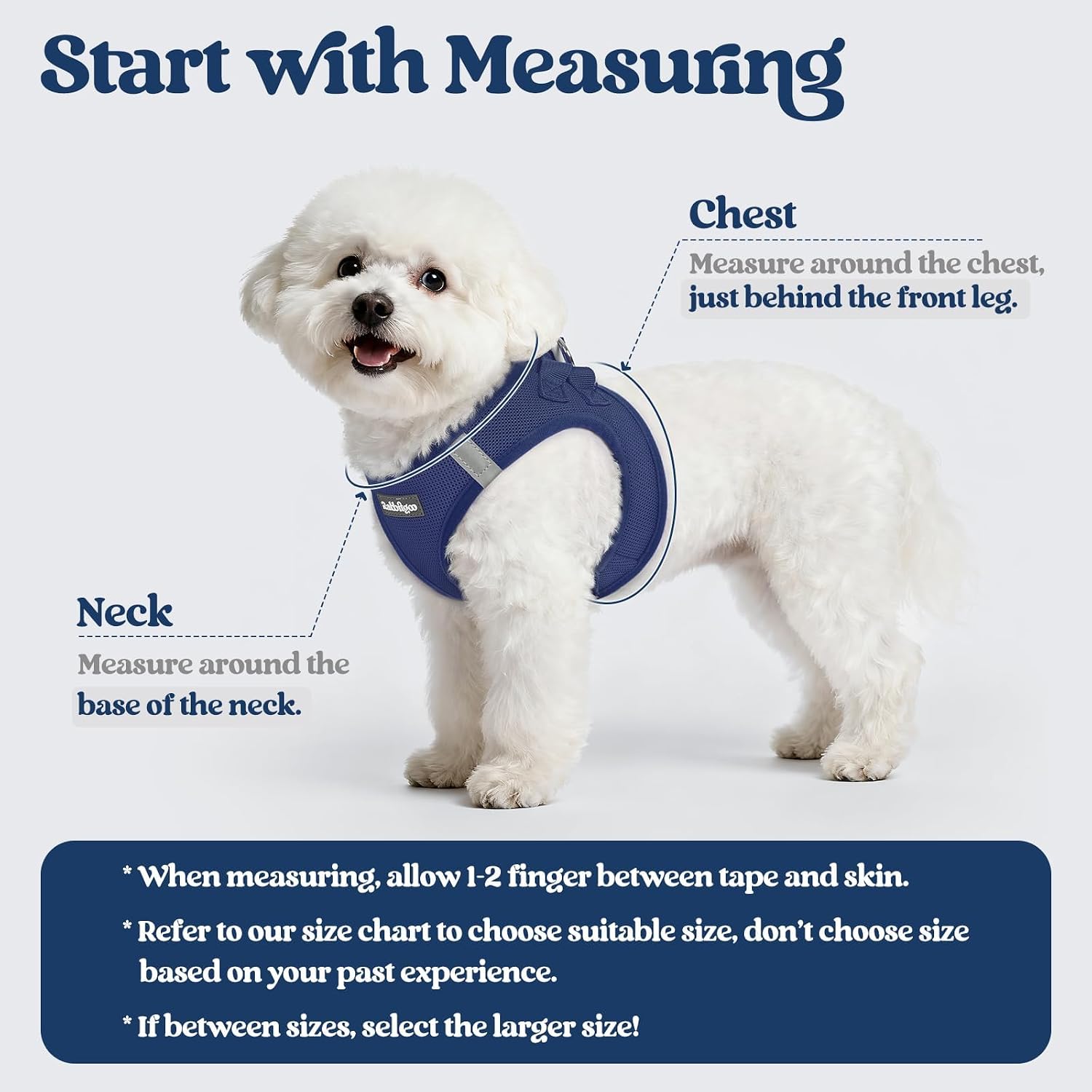 Detalle 2 de rabbitgoo Dog Harness and Leash Set, Size S