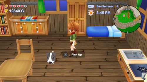 Thumbnail 2 de Harvest Moon: The Lost Valley & Skytree Village Edición Standard (NSW) de Numskull