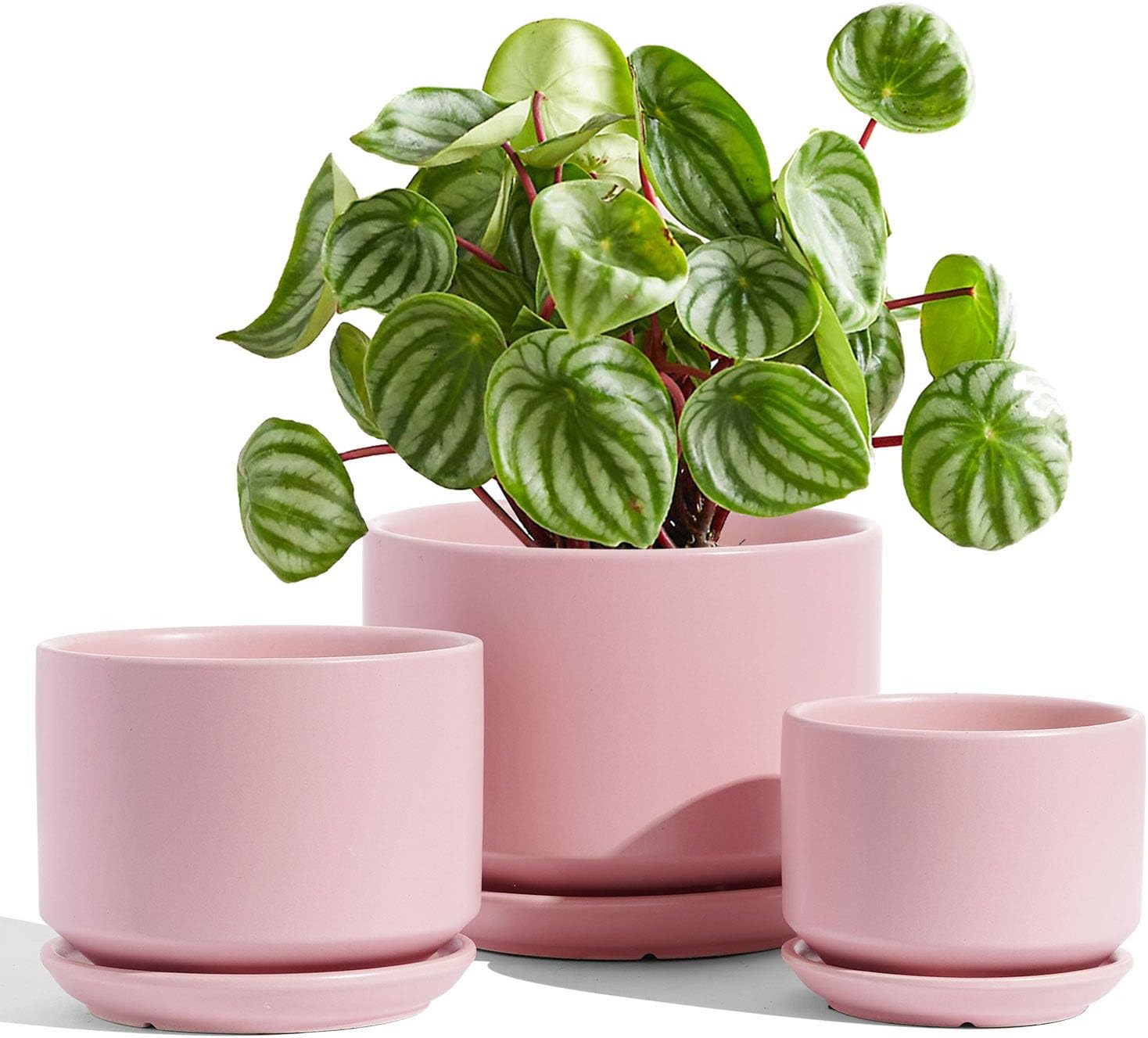 Detalle de LE TAUCI 11/13/17 cm Ceramic Plant Pots Set of 3 with Drainage Holes and Saucer