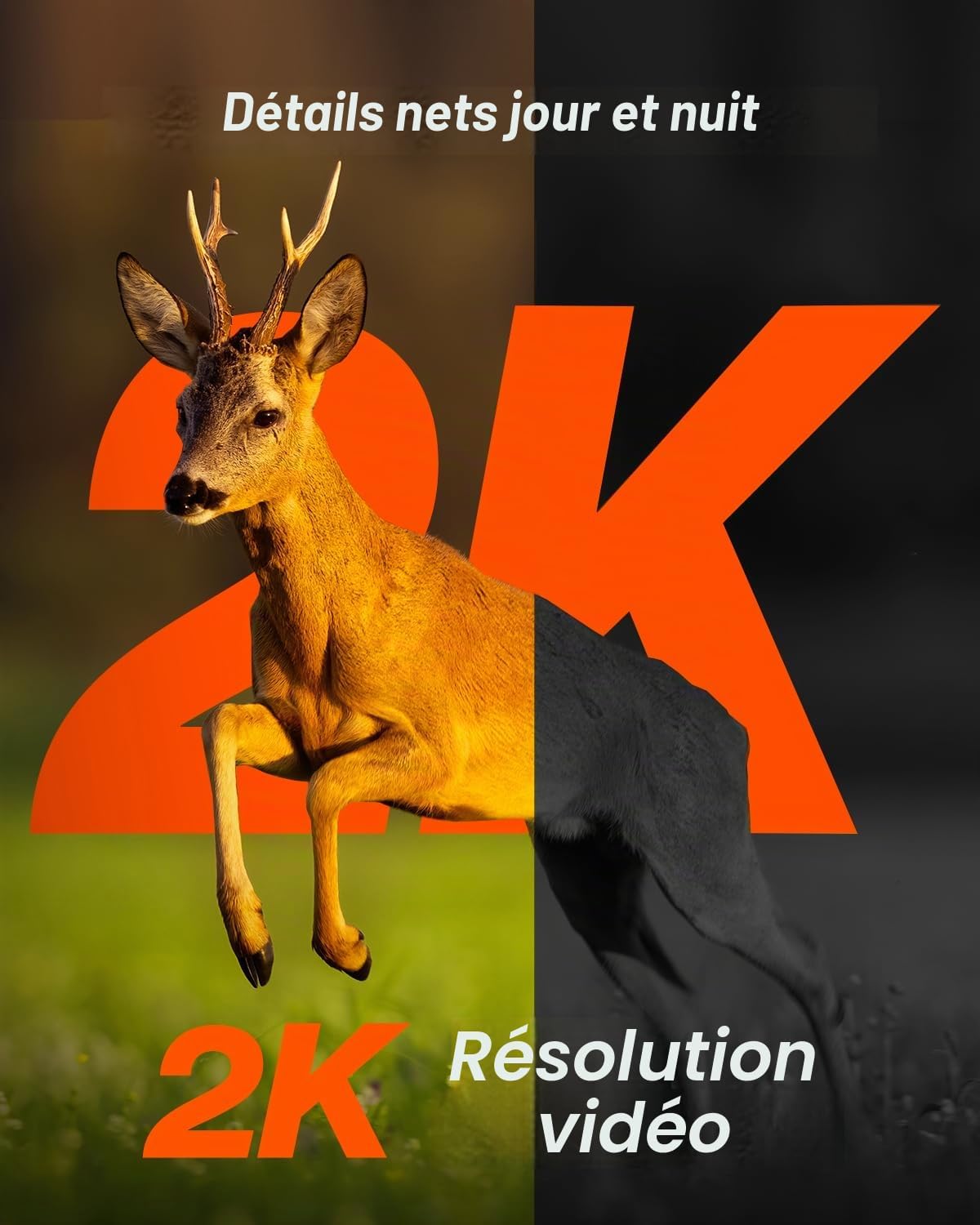 Thumbnail 6 de iZEEKER iG500 4G LTE-wildcamera met 2K, PTZ, zonnepaneel en IP65
