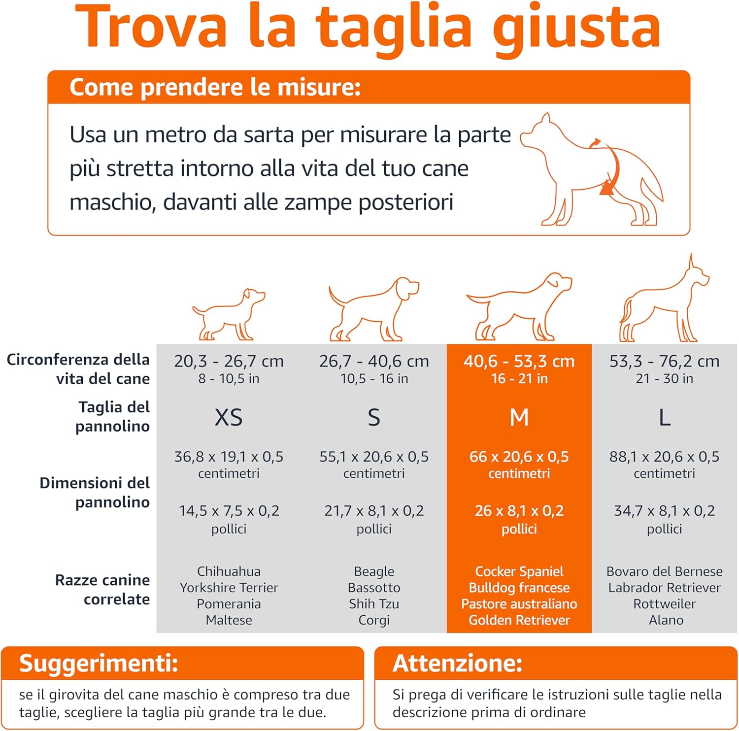 Thumbnail 3 de Amazon Basics Pannolini per cani M 30