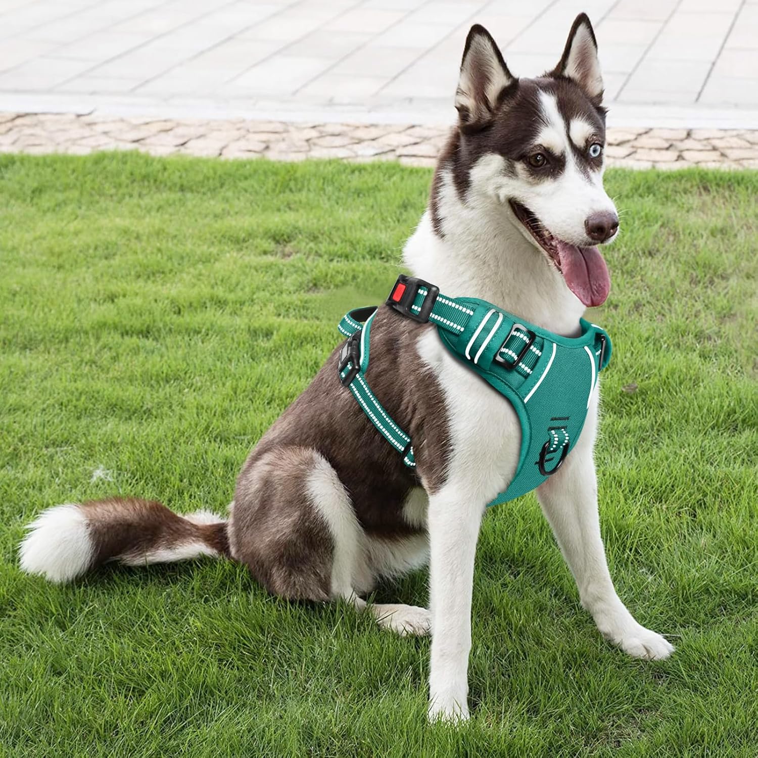 Thumbnail 5 de HEELE Dog Harness No Pull with Neck Release and Lock – Grass Green, Size M