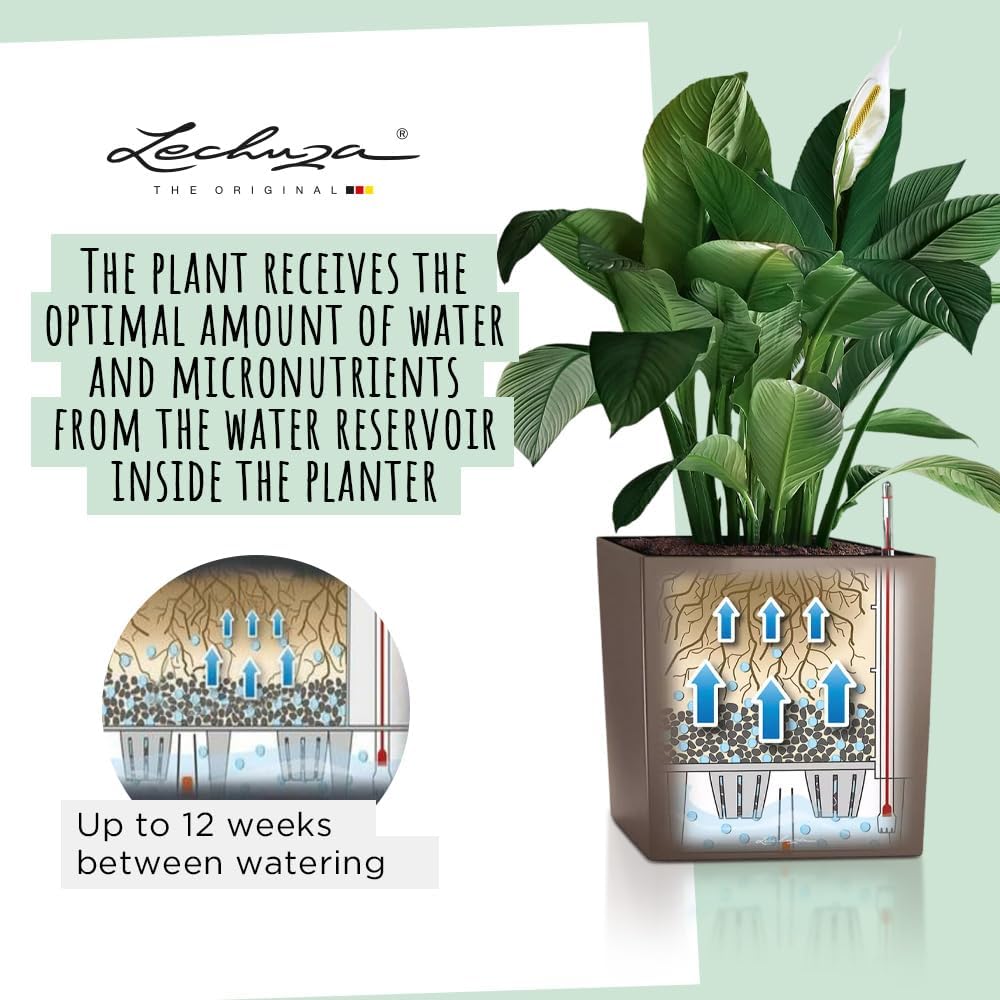 Thumbnail 2 de LECHUZA CUBE Premium 50 anthrazit metallic