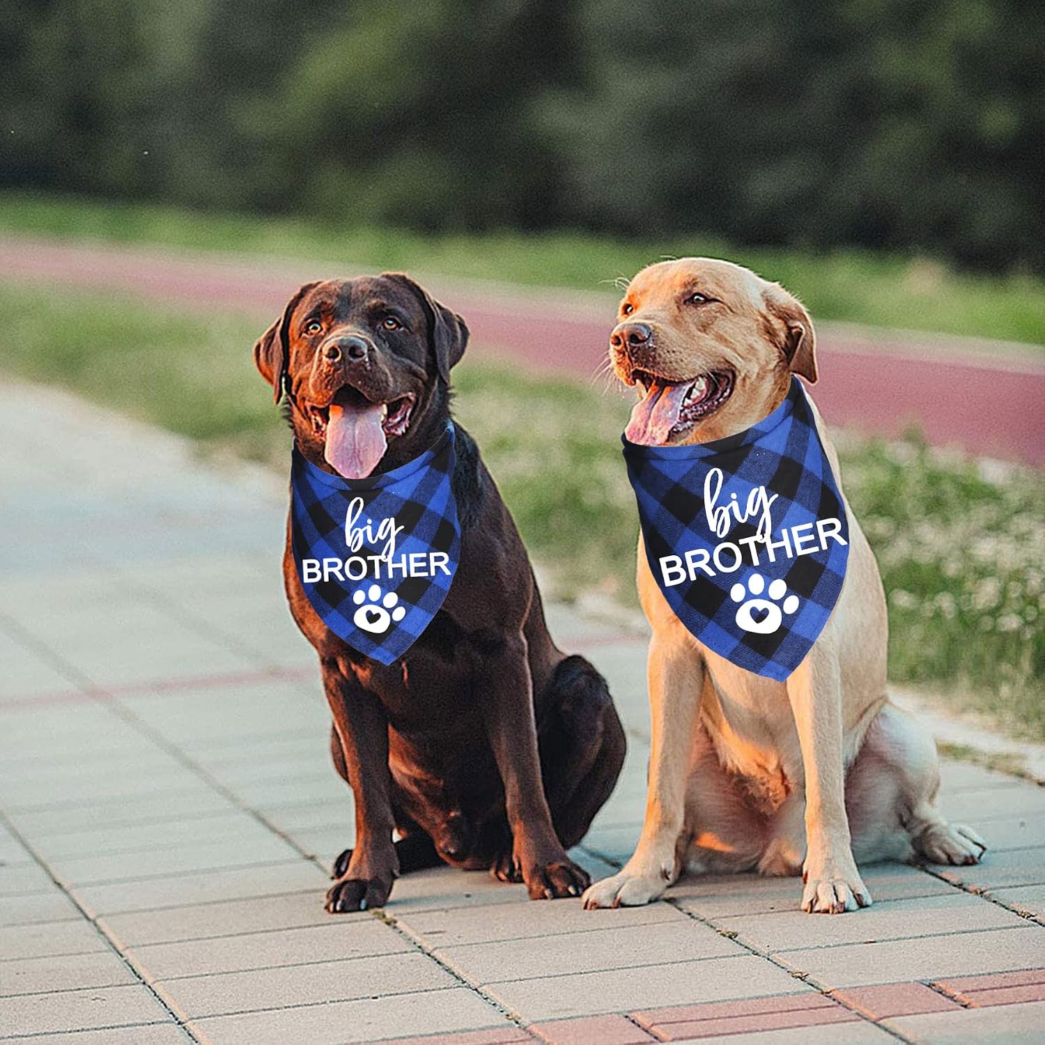 Detalle de JOTFA Big Brother Dog Bandana Large