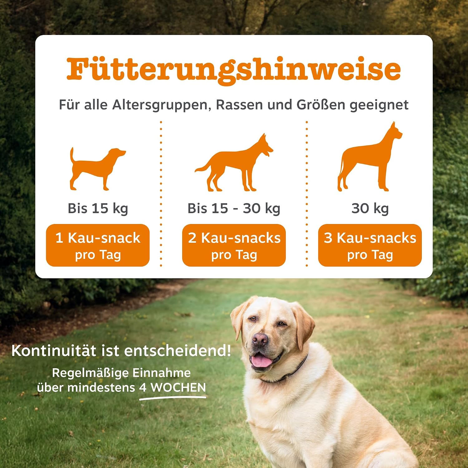 Thumbnail 4 de Zesty Paws 9-in-1 Vitamine für Hunde – Weiche Leckerlis mit Glucosamin, Chondroitin und Multivitaminen