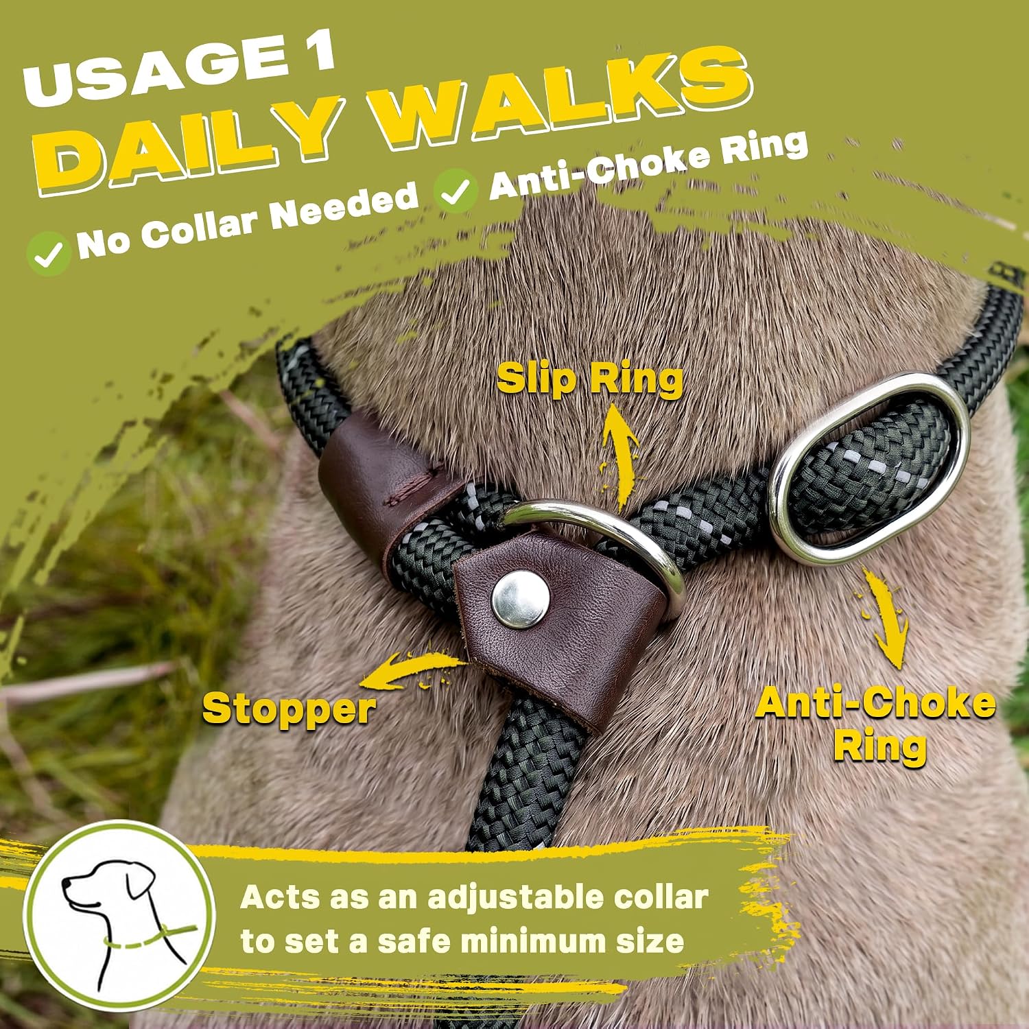 Detalle 2 de Fida Slip Lead Dog Leash, 6 ft