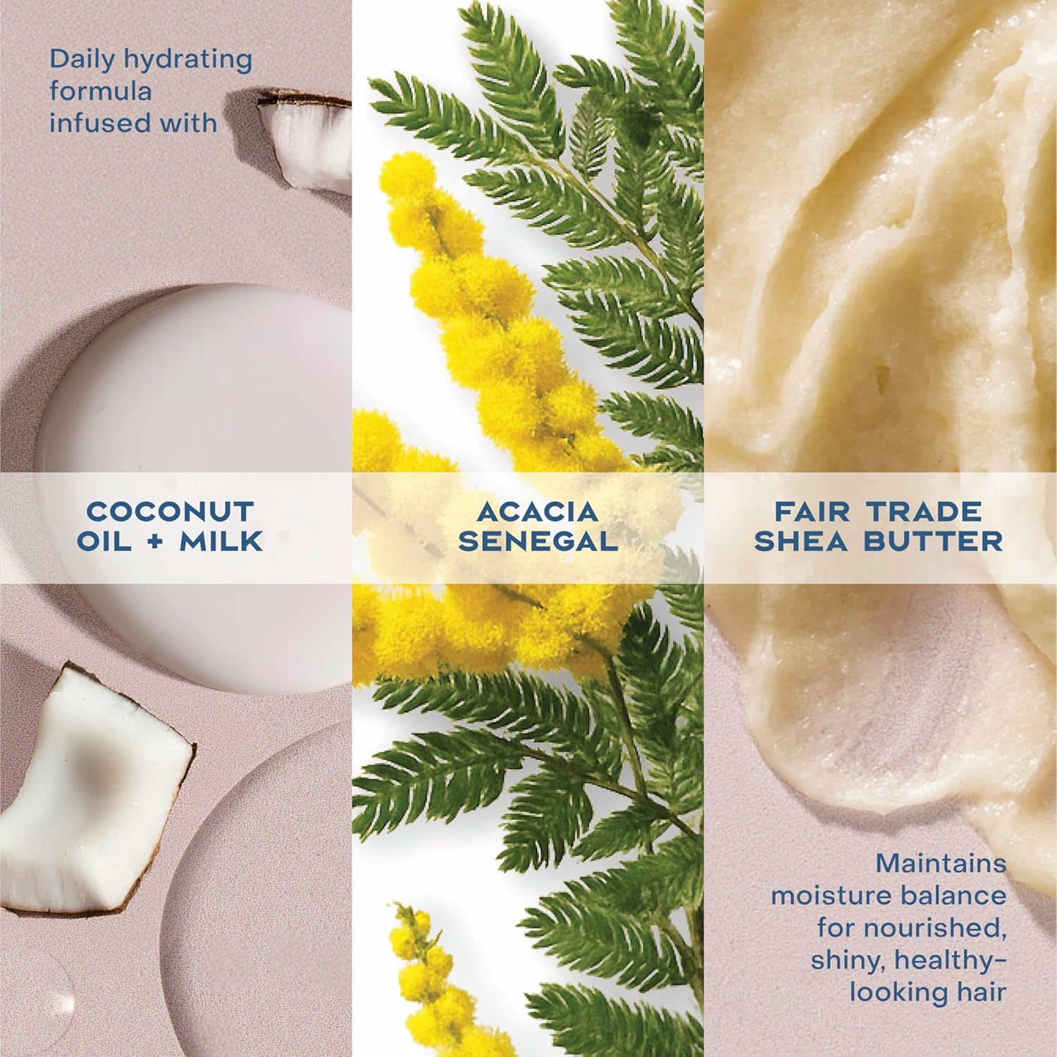 Thumbnail 5 de SHEA MOISTURE Daily Hydrating Conditioner 13 oz