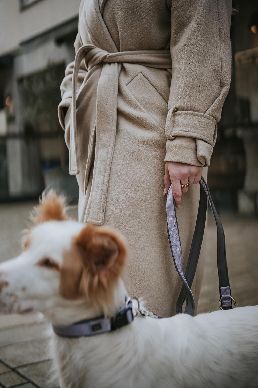 Detalle de Hunter Hundehalsung NEOPREN Vario Plus – Größe L-XL, Lavendel/Grau, 2,5 cm breit