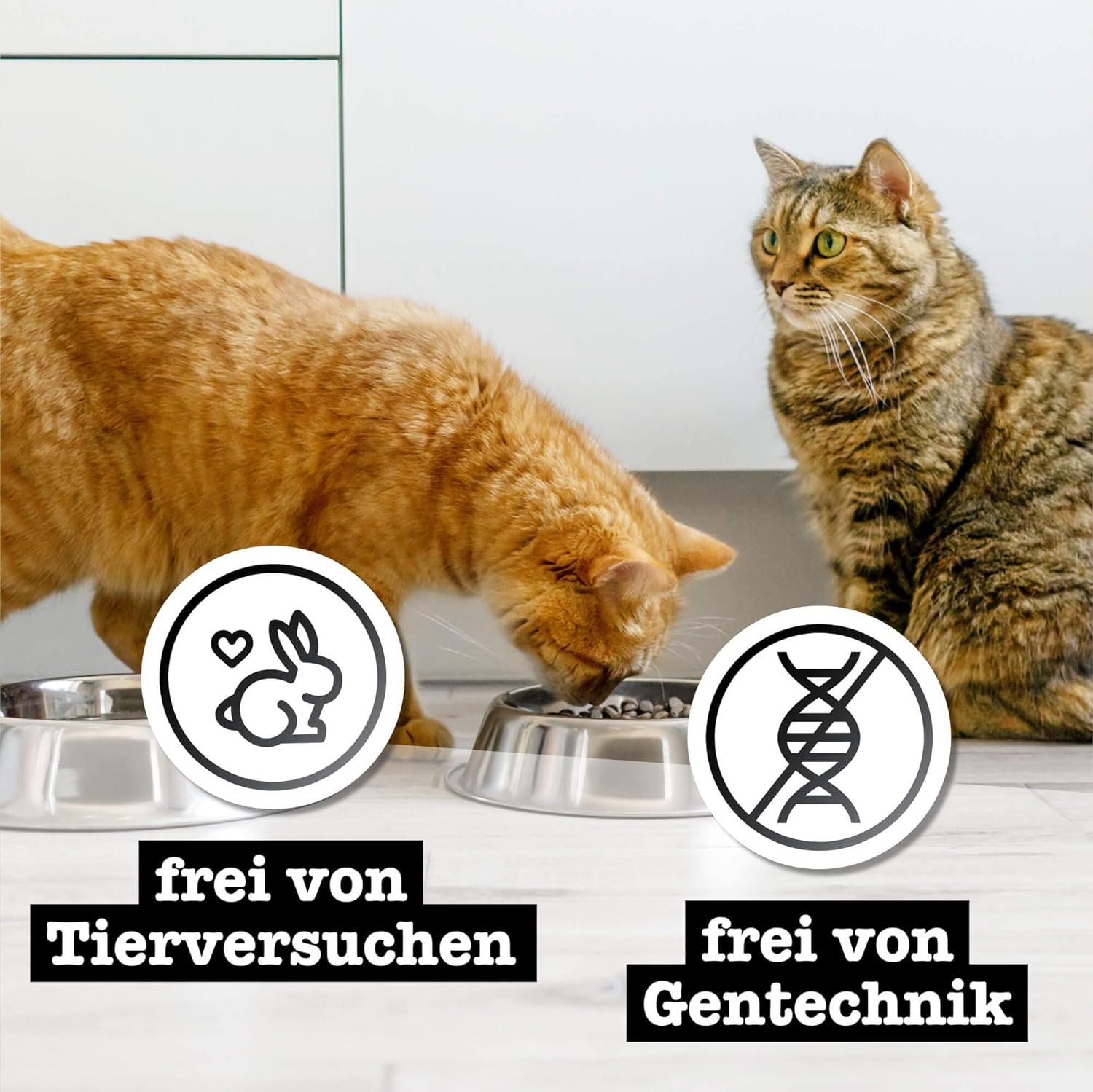 Detalle de catz finefood Purrrr Pferd Monoprotein Katzenfutter Nass N° 123 – 70% Pferdefleisch, 16 x 85 g Beutel