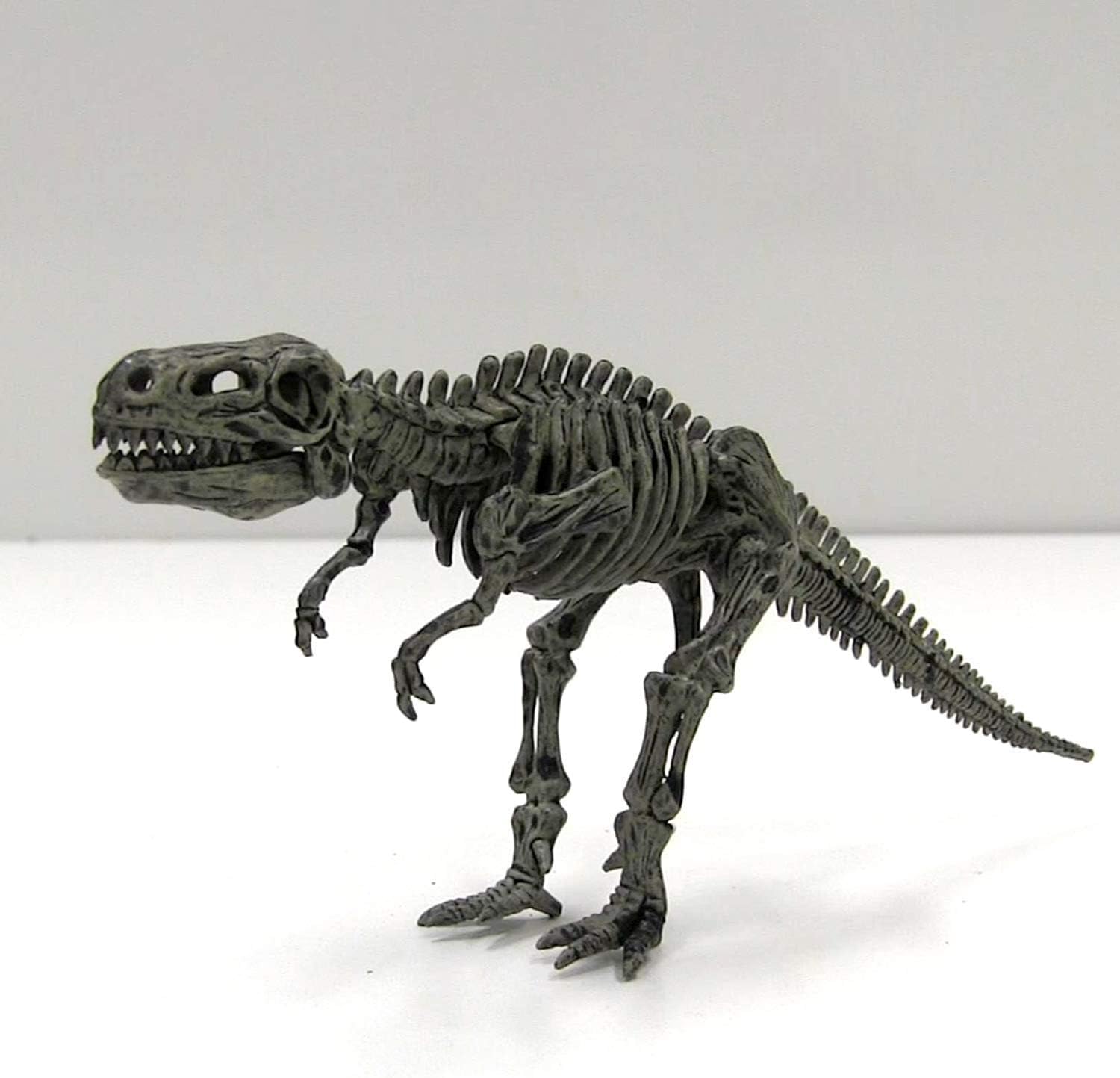 Thumbnail 6 de Science4you 80000516 – zestaw do wykopalisk 4 w 1, 4 dinozaury
