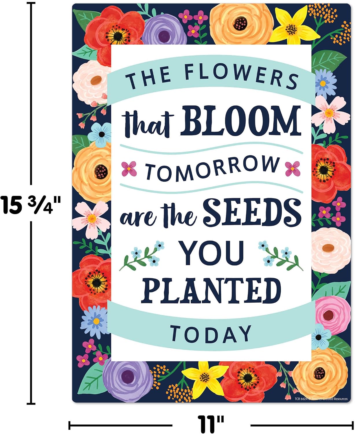 Thumbnail 6 de Teacher Created Resources Educational Poster Pack TCR6624