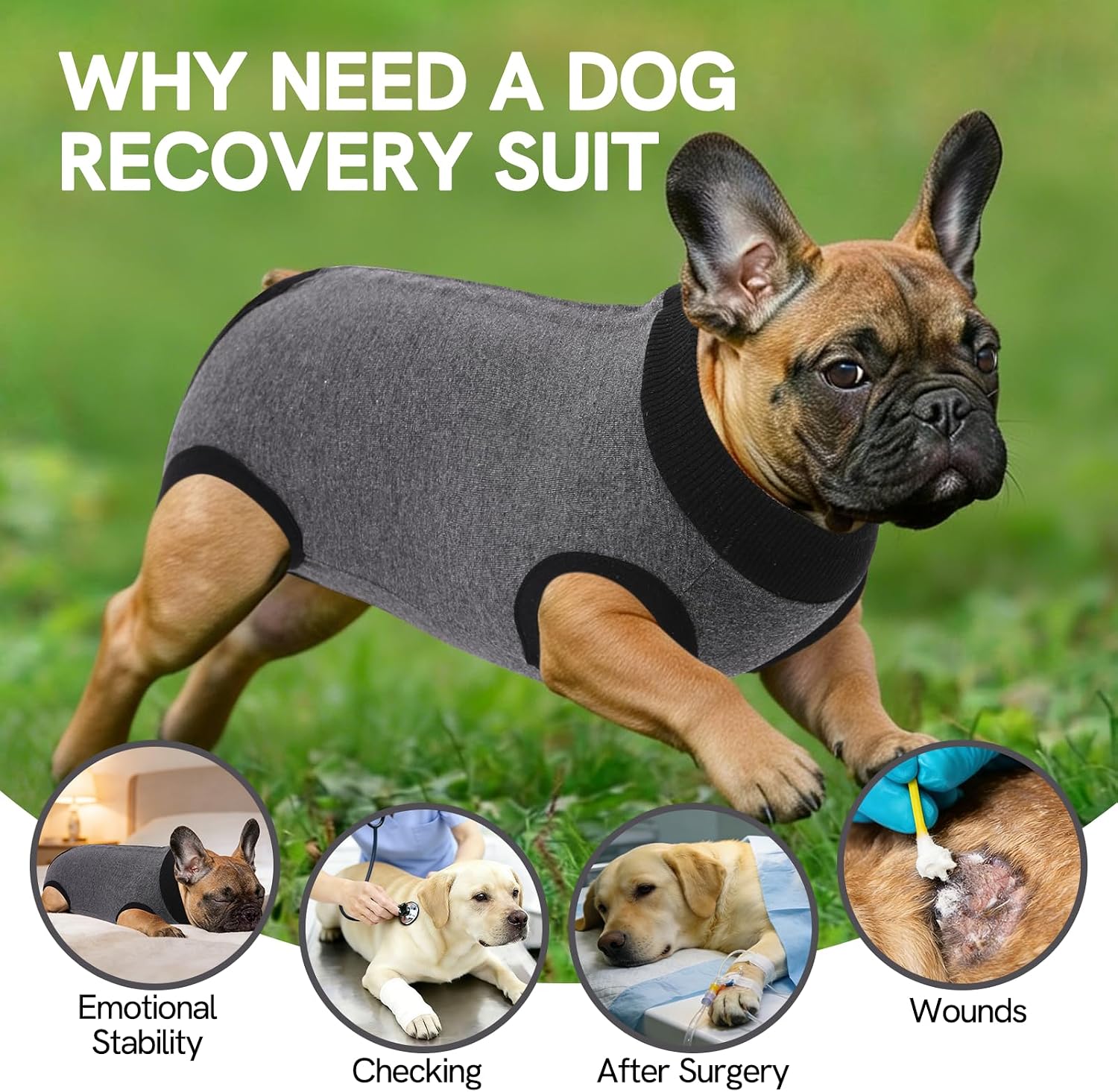 Detalle 2 de SAWMONG Dog Recovery Suit X-Small