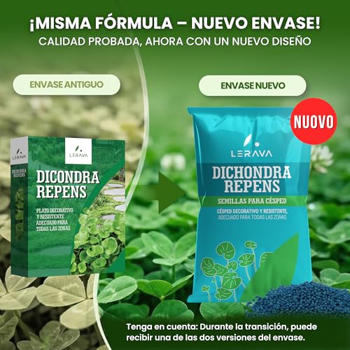 Thumbnail 8 de LERAVA Dichondra repens semillas (200 g) para 20 m² – césped resistente y adaptable