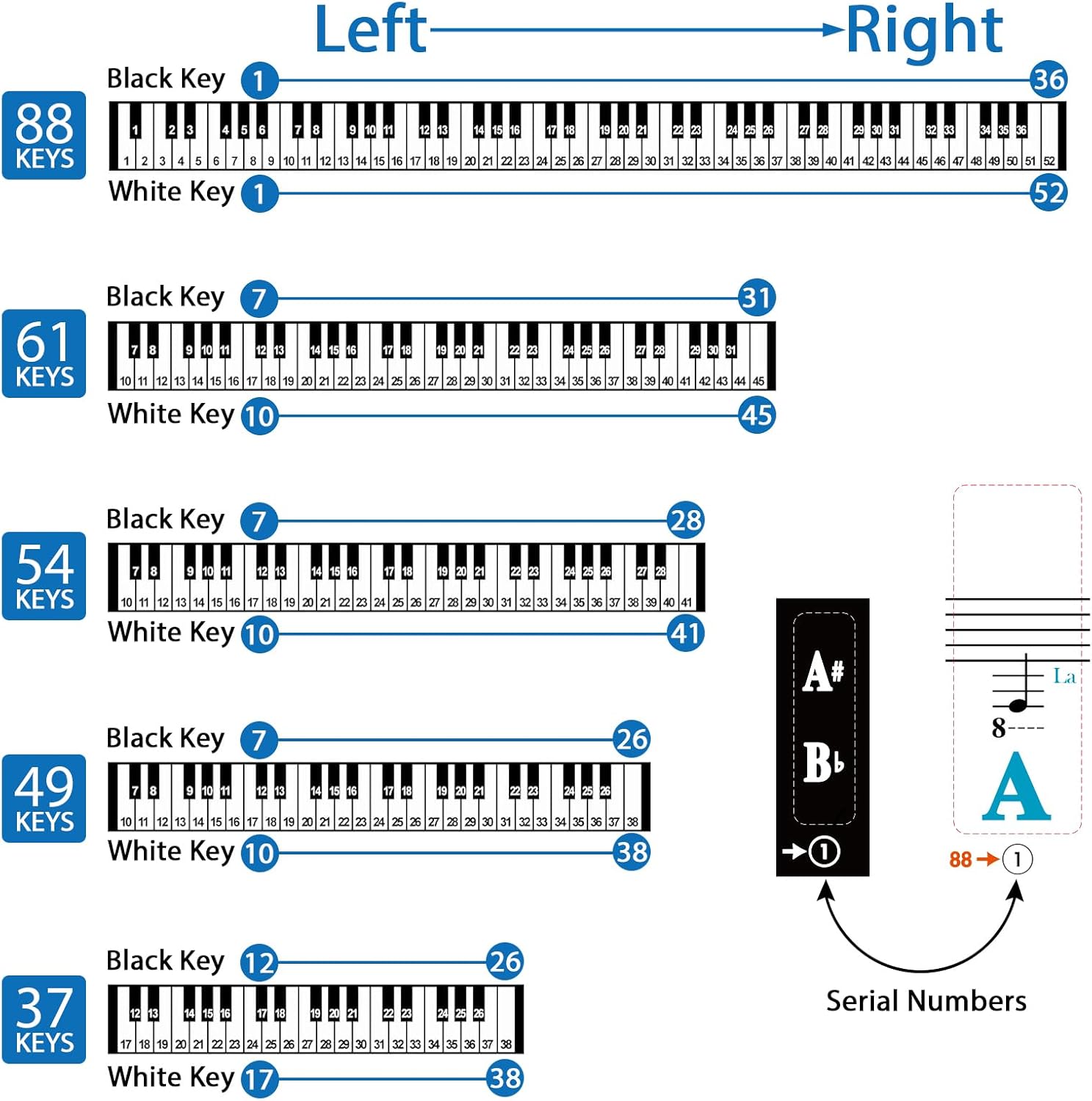 Thumbnail 3 de Azymi Piano Stickers full set for 88/76/61/54/49/37 keys (white & black key notes) – removable transparent film