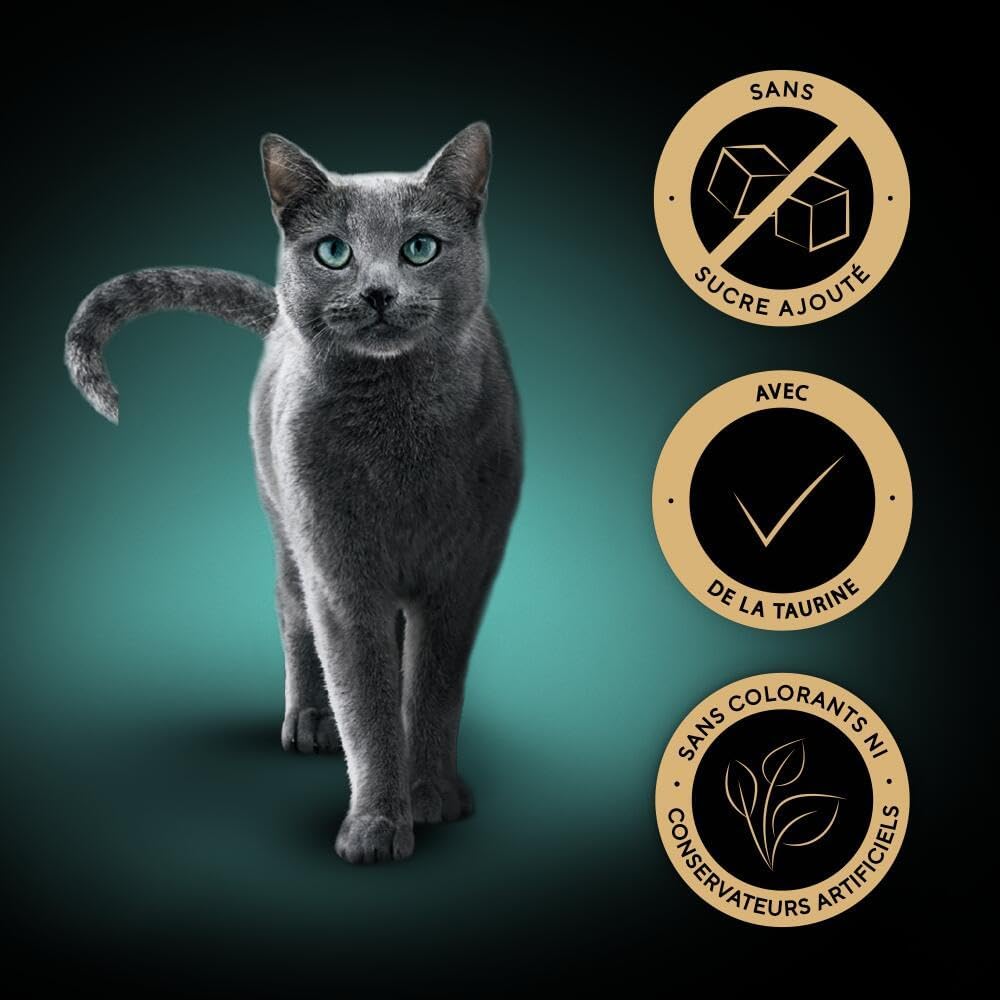 Thumbnail 1 de Sheba Creamy Snacks au Saumon 4 x 12 g – friandise crémeuse pour chat adulte