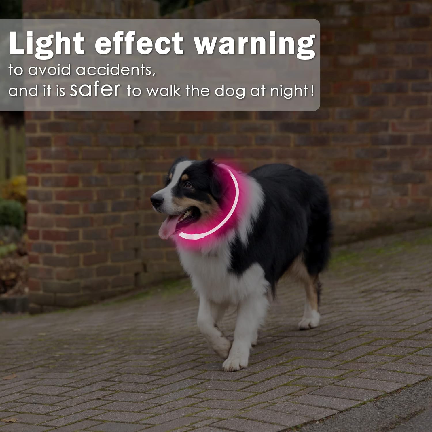 Detalle de Coolzon Collare Luminoso per Cani USB Ricaricabile – LED Regolabile, Impermeabile, 3 Modalità di Luce (Taglie Piccola/Media/Grande) – Rosa