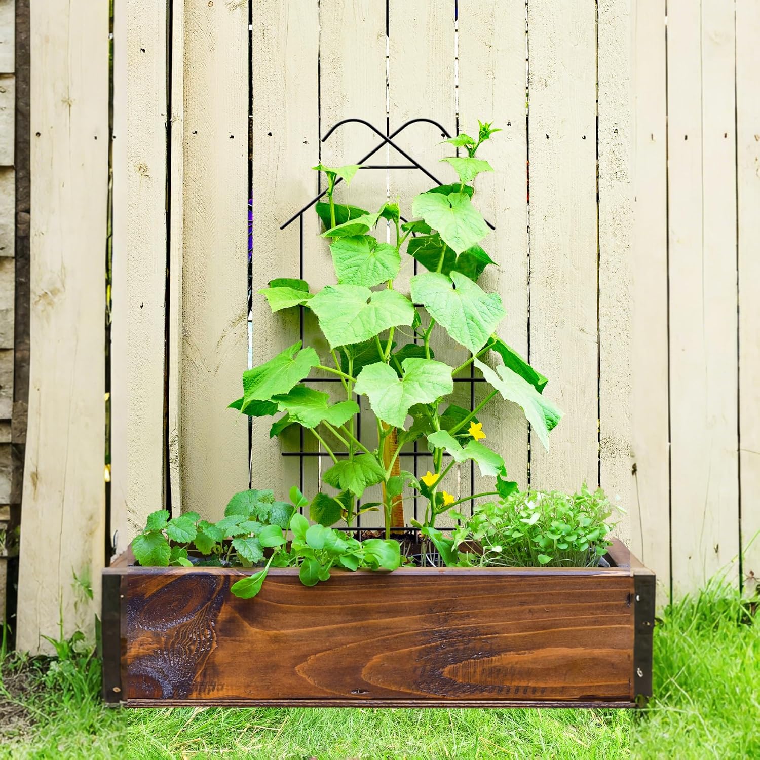 Detalle de ARIFARO Garden Trellis 32 inch (81 cm) – 4 Pack of Rust-Resistant Metal Plant Trellis