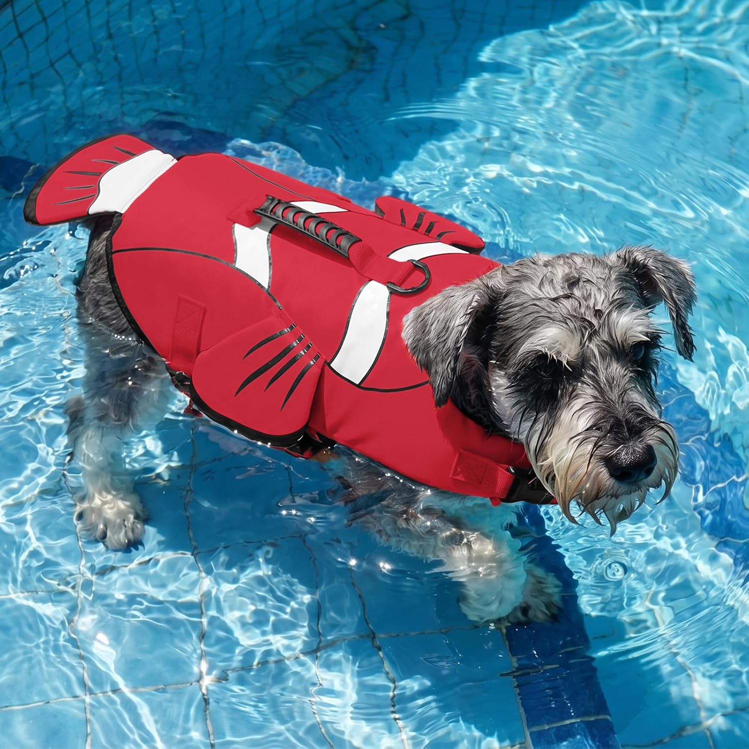 Detalle 2 de DENTRUN Dog Life Jacket for S/M/L Dogs