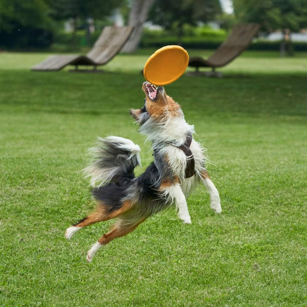 Thumbnail 5 de Vivifying Hundefrisbee aus natürlichem Kautschuk (2er-Set) 15 cm – für Land & Wasser in Grün/Orange