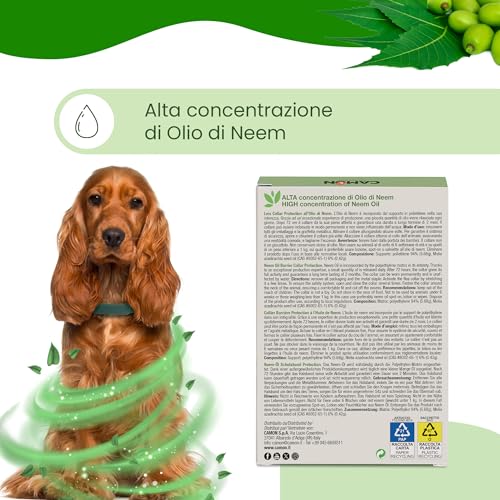 Detalle 2 de CAMON Collare Protettivo per Cane (>10kg) con Olio di Neem, 60 cm: protezione naturale fino a 2 mesi