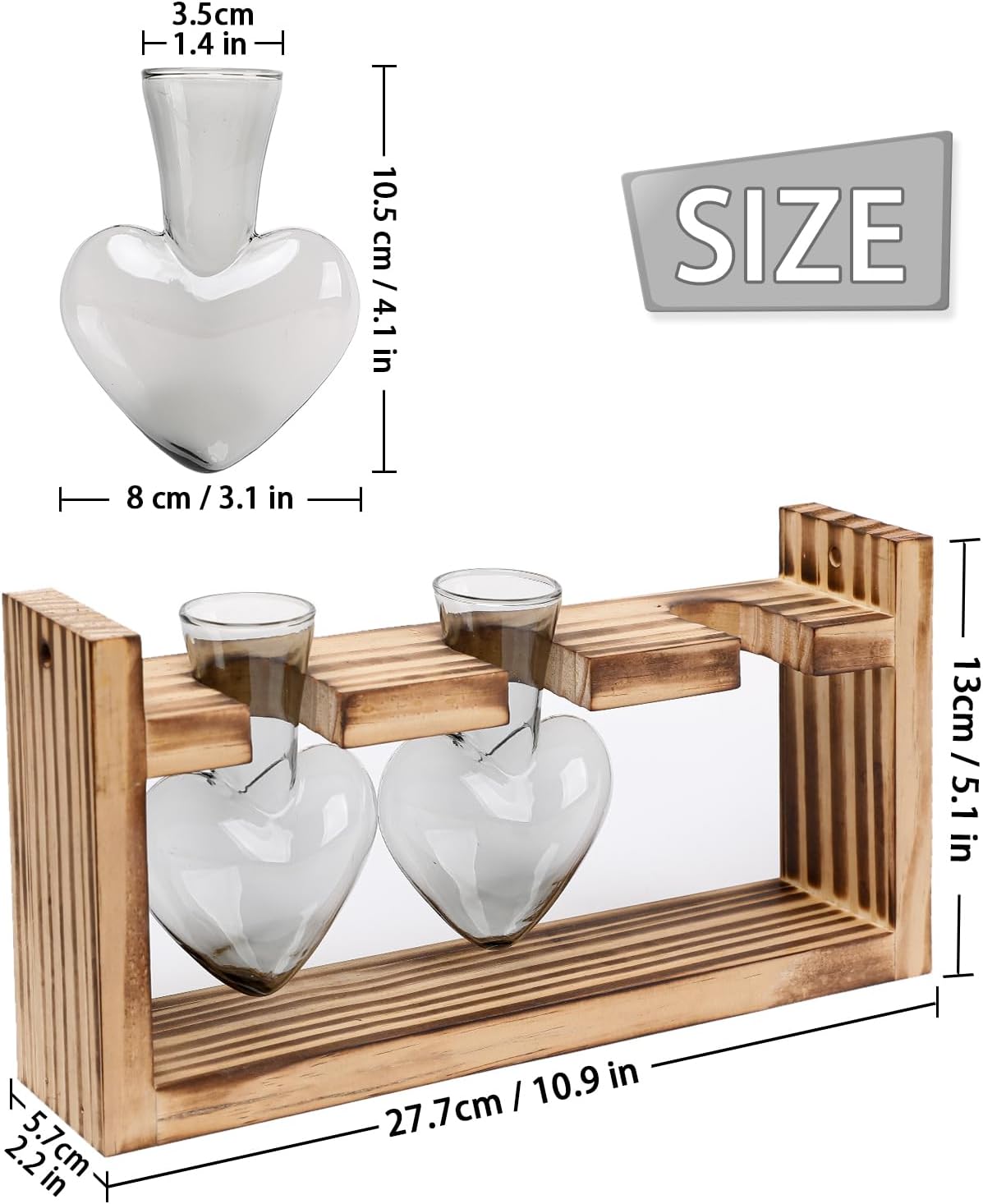 Detalle de Glass Plant Propagation Vases