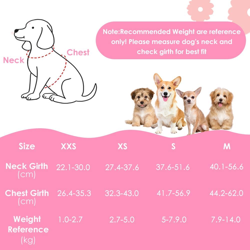 Detalle de Eyein XXS Small Dog Harness and Lead Set – Breathable Soft Mesh, No-Pull, Step-In Vest for Extra Small Dogs