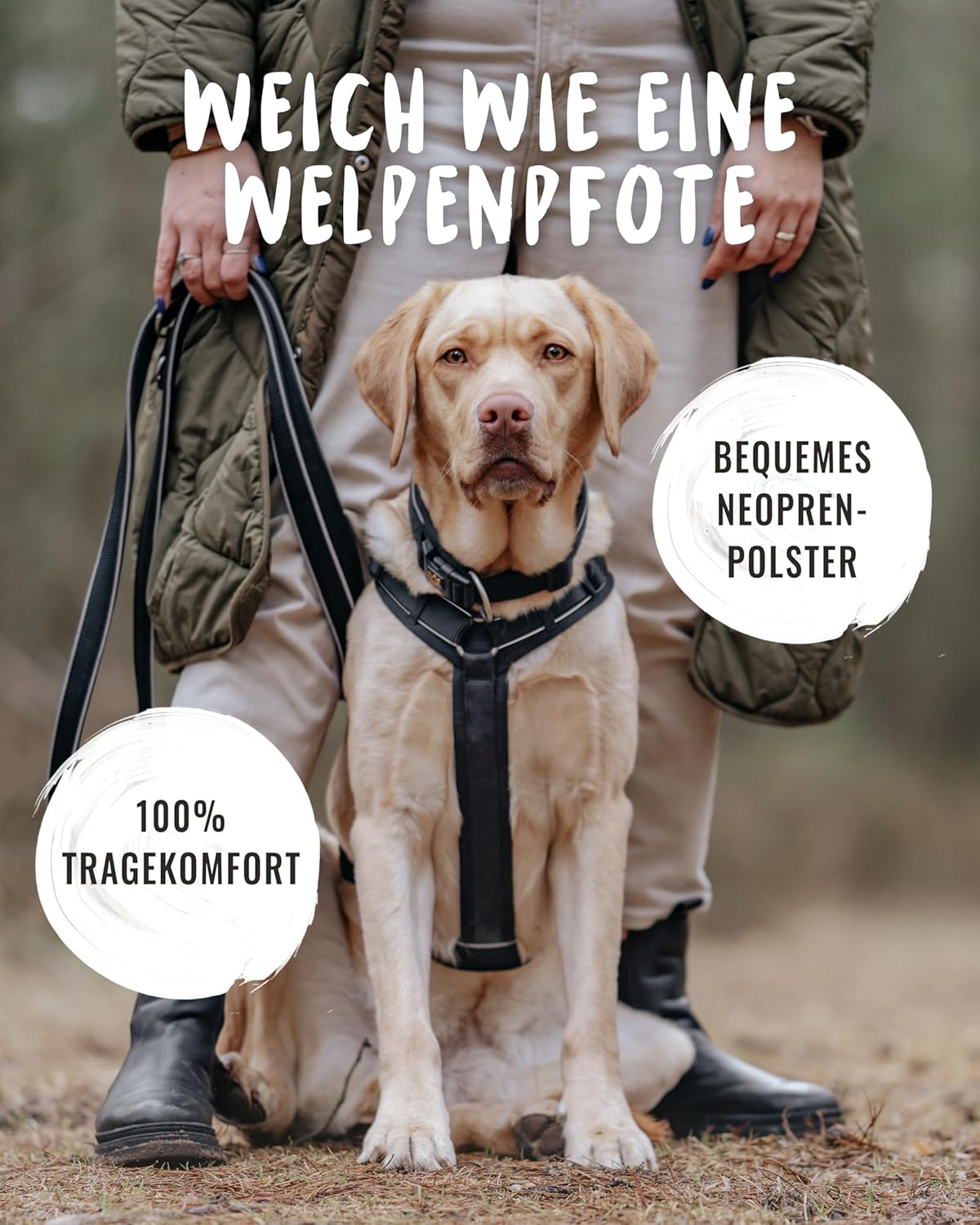 Detalle 2 de Rudelkönig Paola Reflektierendes Hundegeschirr mit Haltegriff – Y-Design, verstellbar, geeignet für kleine bis mittelgroße Hunde