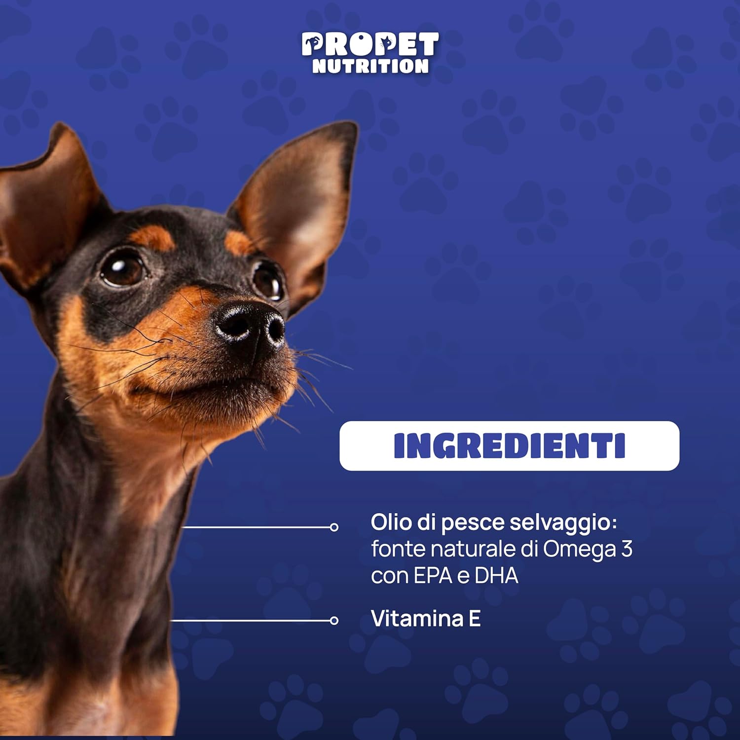 Detalle de Omega 3 Cani e Gatti. 60 Capsule: olio di pesce selvaggio con vitamina E per pelle, pelo, cuore e articolazioni