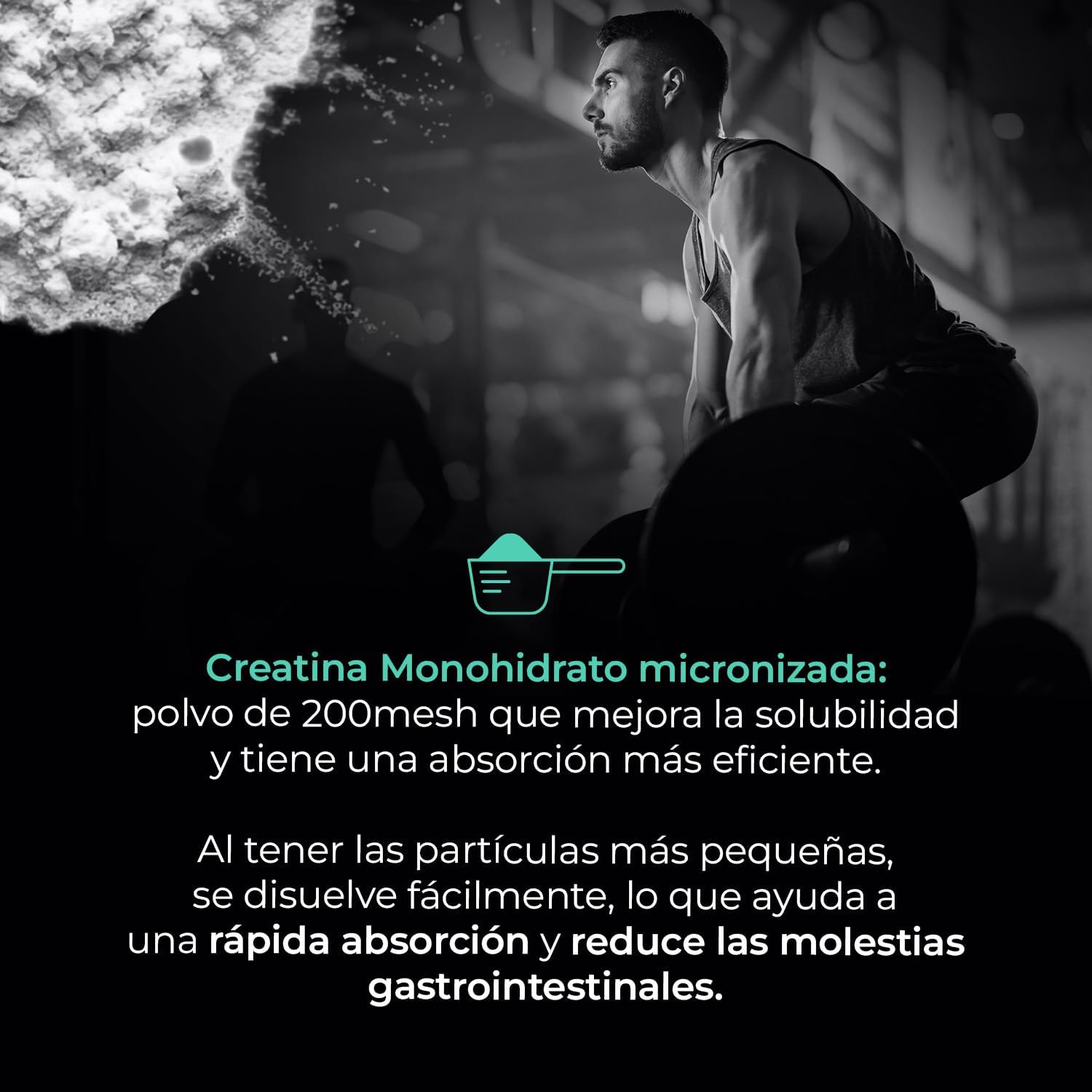 Thumbnail 2 de ProNXT Creatina Monohidrato 1000g (200 Mesh) de ProNatural Pharma — Micronizada, 293 Dosis
