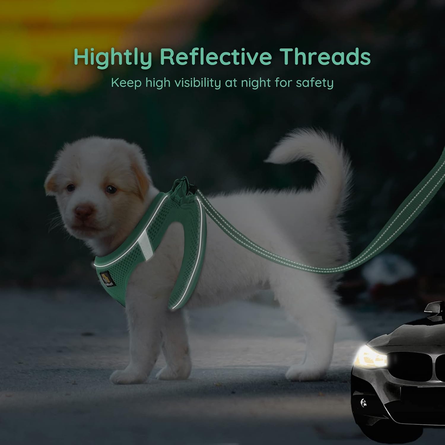 Detalle de BELLA & PAL step-in dog harness and leash set for puppies (XS) – breathable air mesh with reflective strips, green
