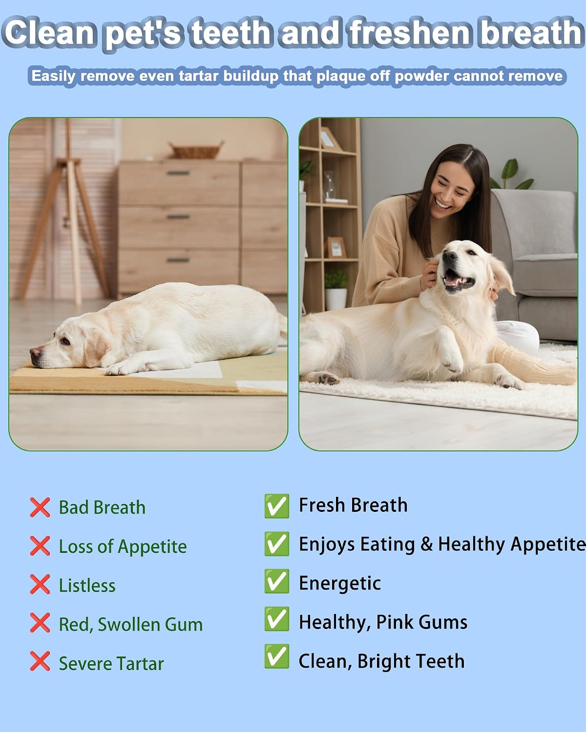 Detalle de Stim-U-Dent Dog Plaque Remover for Teeth with LED light and rechargeable toothbrush heads