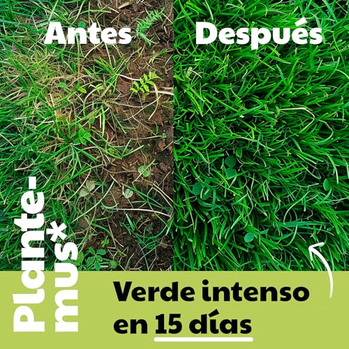 Detalle de PLANTEMUS Abono Césped 10 kg, efecto verde rápido