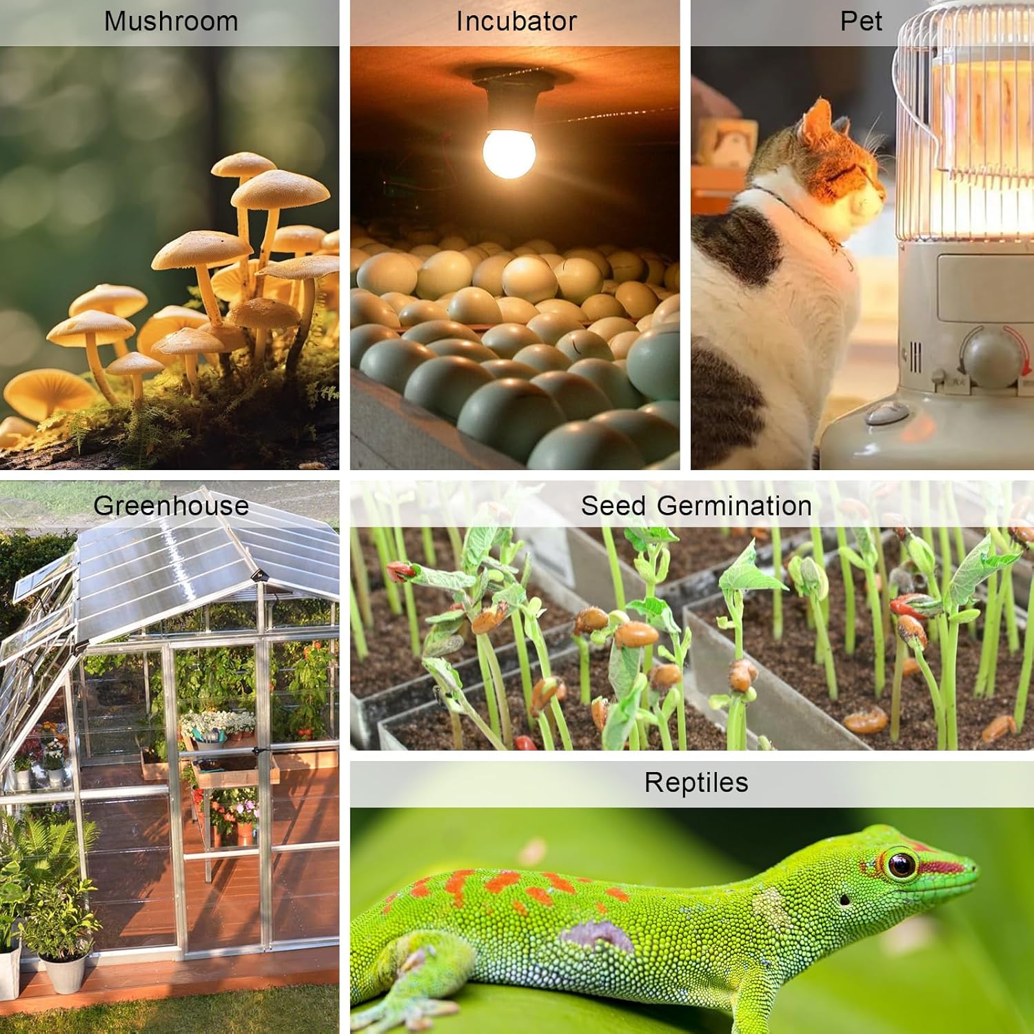 Thumbnail 6 de KETOTEK Termostato igrostato digitale con sonda per terrario 🌡