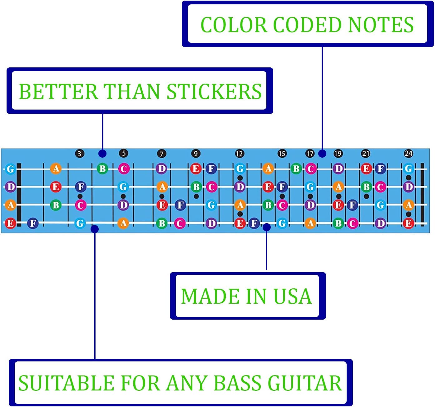 Detalle 2 de QMG Bass Guitar Fretboard Note Chart